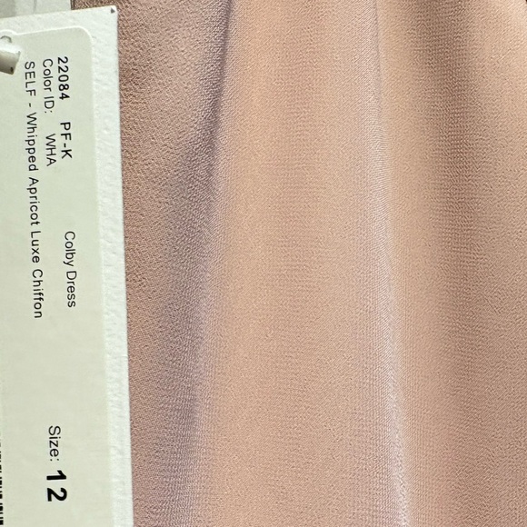 Jenny Yoo Blush Maxi Dress - Picture 12 of 15